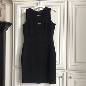 Professional Ann Taylor Dress